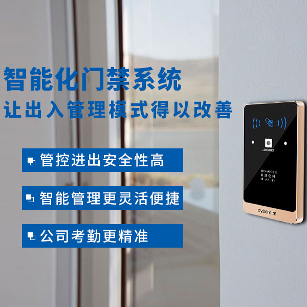 案例